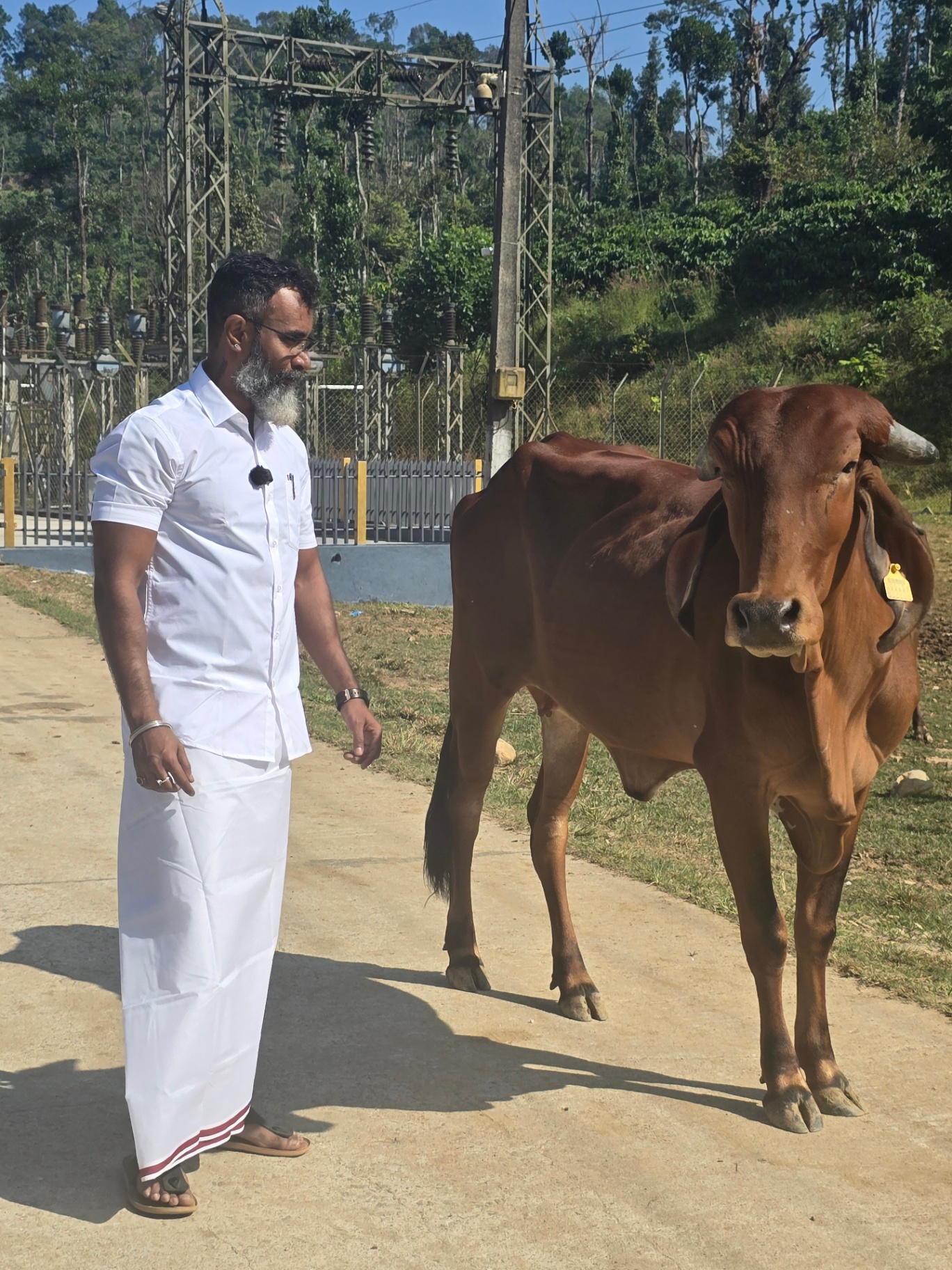 Chiranjivi Lucky